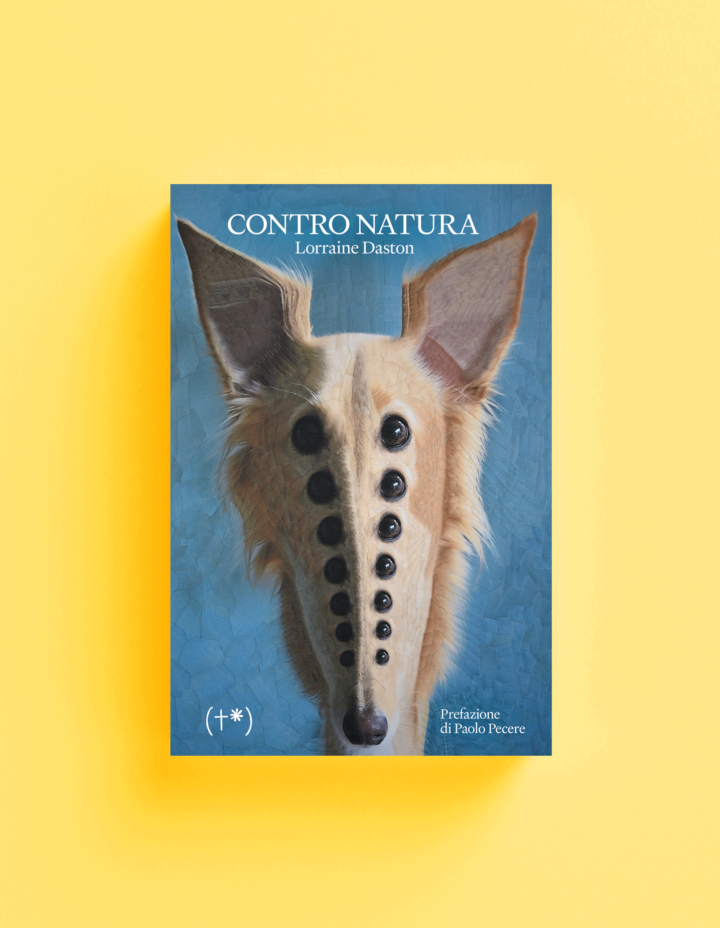 CONTRO NATURA